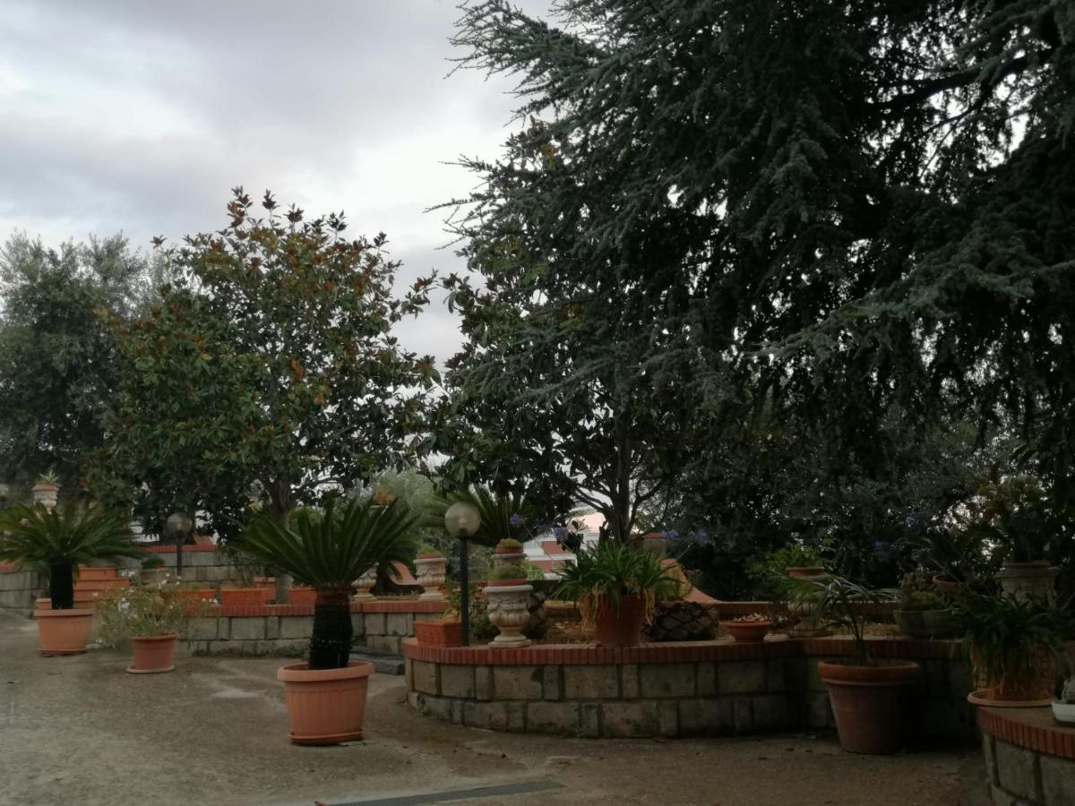 Villa Giannina Massa Lubrense Exterior foto